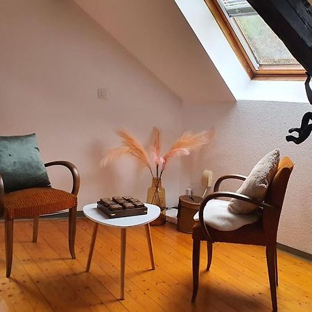Loft Gaia Apartment Brunstatt-Didenheim Bagian luar foto