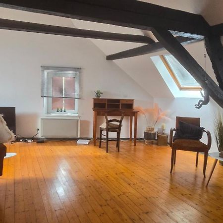 Loft Gaia Apartment Brunstatt-Didenheim Bagian luar foto