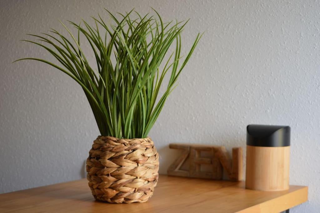Loft Gaia Apartment Brunstatt-Didenheim Bagian luar foto